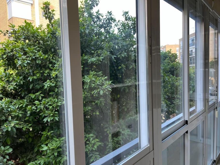 Triana Family Suites 세비야 외부 사진